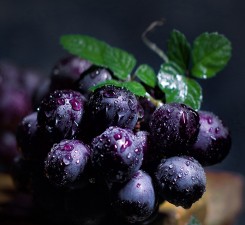 Grape nutrient solution